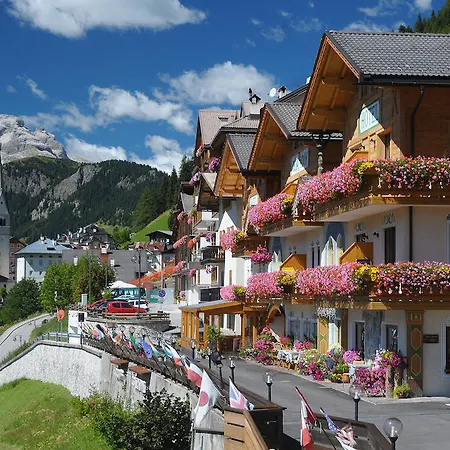 Cesa Padon אראבה